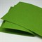 Фетр Skroll 20х30, жесткий, толщина 1мм цвет №042 (green) - фото 4756